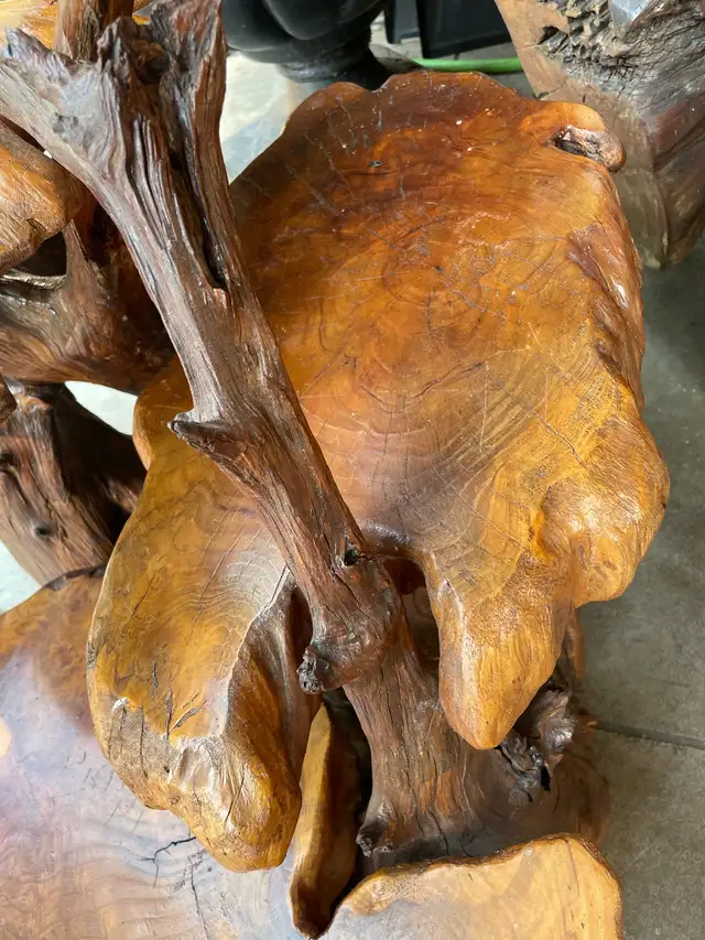 Unique Teak Root Display Stand in Outdoor Décor in Kamloops - Image 9