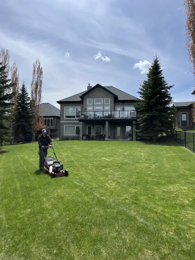 Lawn Care and Weed Control Services