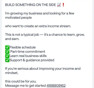 This not kind of job This for build your own business