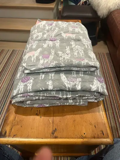 Pottery Barn flannel queen duvet cover set, View more