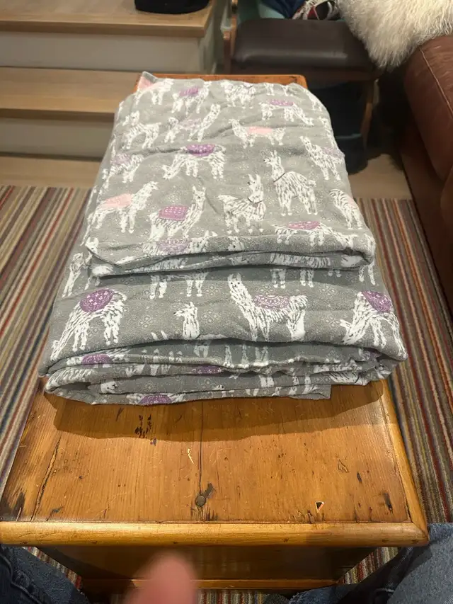 Pottery Barn flannel queen duvet cover set in Bedding in City of Toronto - Image 2