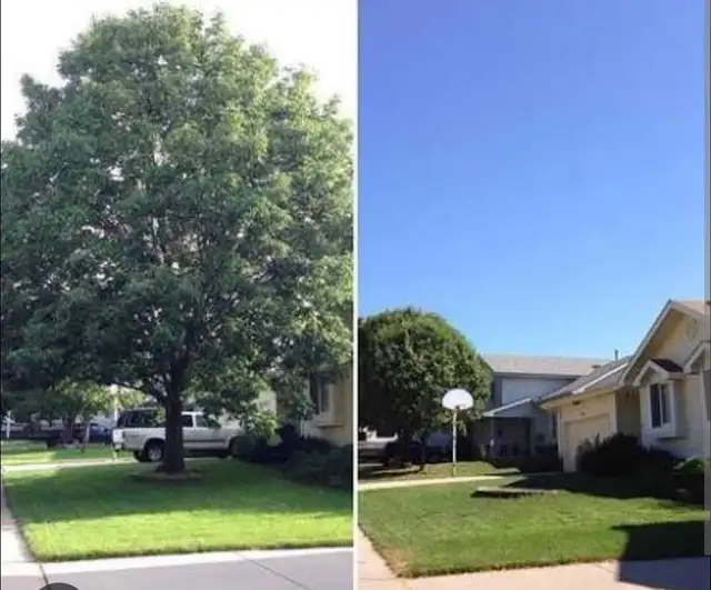 ISO of Running Vehicle! in Other in Red Deer - Image 8