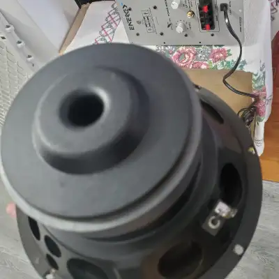 Energy Act Subwoofer Amp + 8" Subwoofer, View more