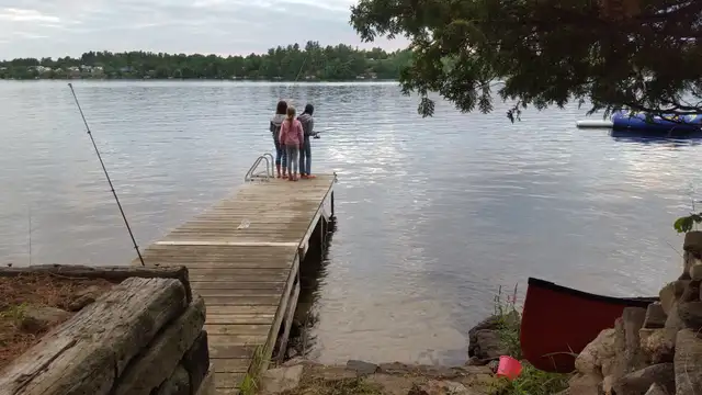 Waterfront cottage for rent on Pike Lake in Ontario in Canada - Image 3