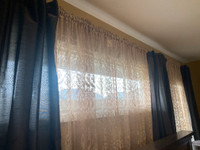 8 Brown- Curtain Panels 
