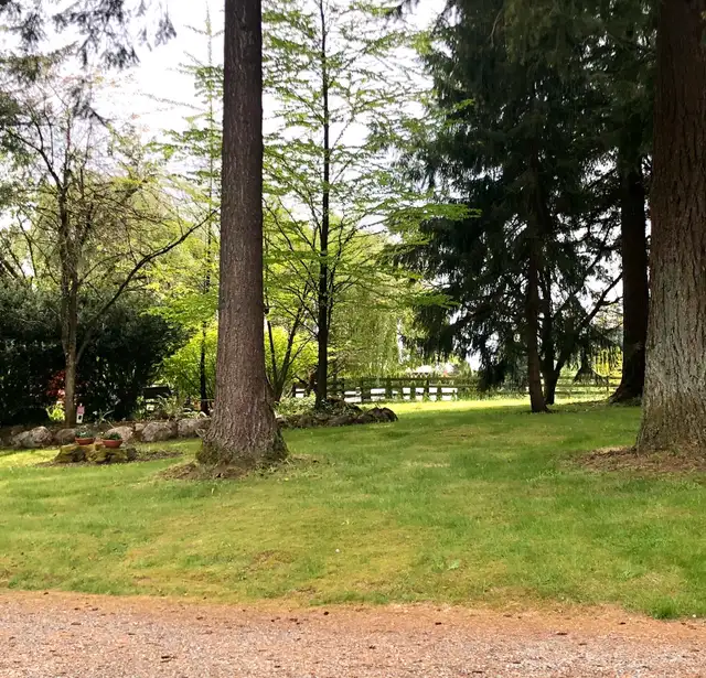 Affordable Room for Rent for women  on Peaceful 5-Acre Property in Room Rentals & Roommates in Delta/Surrey/Langley - Image 2