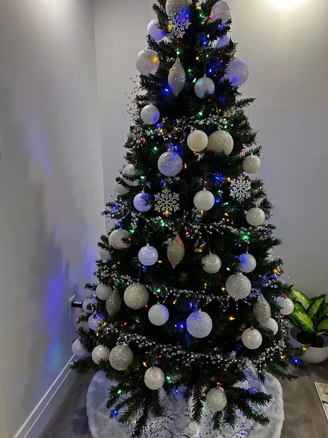 Short term rental 2BD 2BA condo downtown Toronto/ Starts Jan 5th