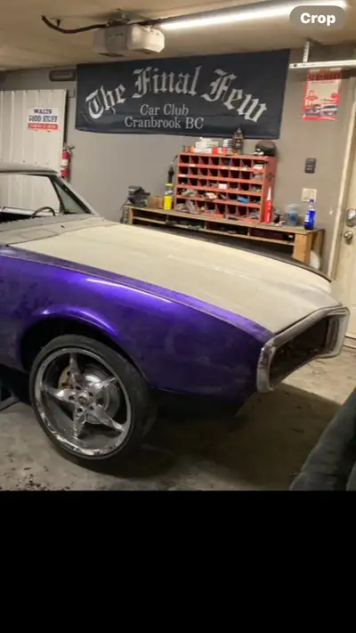 Good used hood, stripped down to bare metal and expoy primed, hood has zero filler. Couple tiny mino...