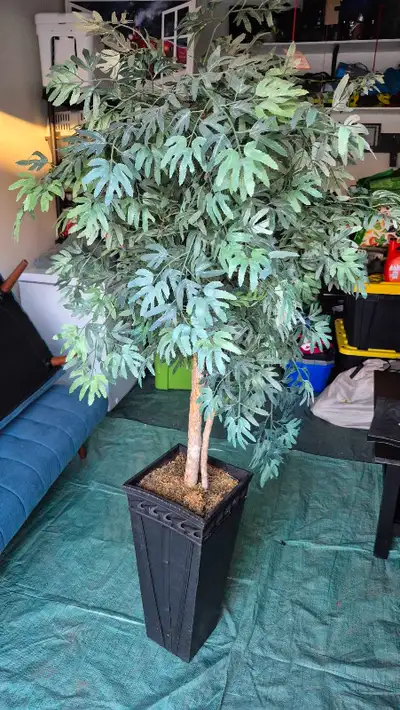 Fake Tree - Ficus, View more
