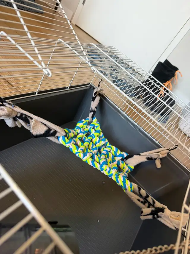 Ensemble cage à rongeurs (équipement complet) in Accessories in St-Georges-de-Beauce - Image 7