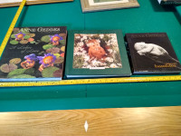 Anne Geddes  3 Hardcover  books  see photo