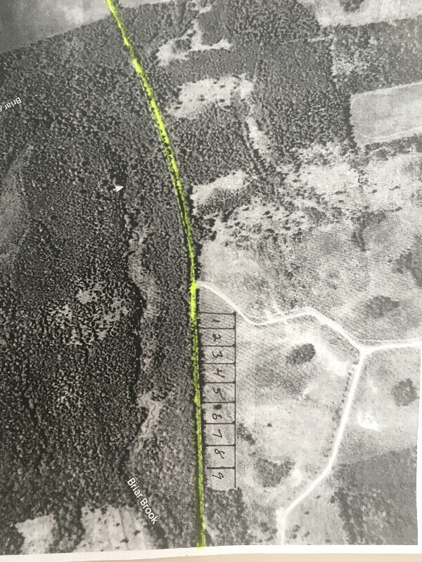 Lease 1 Acre Camp Lots Upper River John/Wally Mingo Road Land for