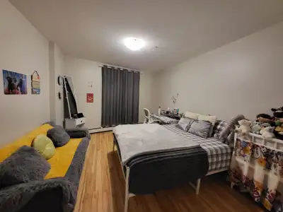 2bed, 2 Full Bath spacious apartment with ocean view