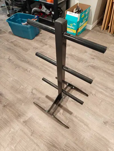 Holds 2" Olympic plates. $140 new looking to get $80.