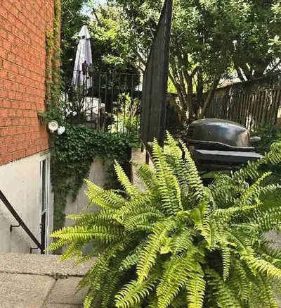 Welcome to your bright private studio apartment on a beautiful tree lined street close to walking tr...