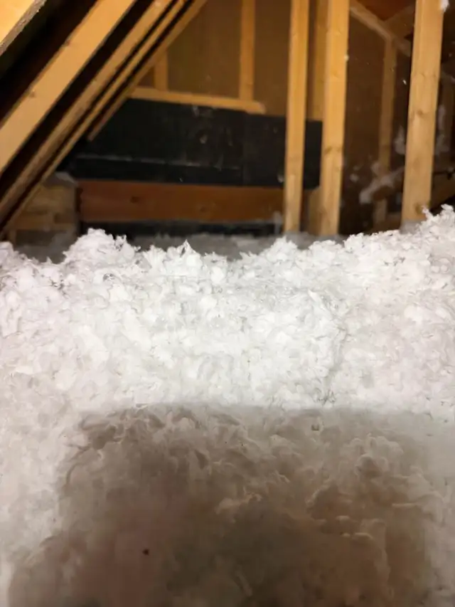Attic Insulation577858272798986247