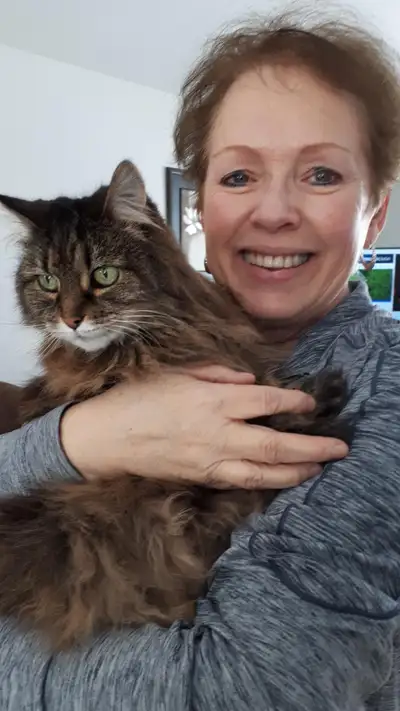 A cat lover and owner for over 40 years, I am available to cat sit in your home (Greater Moncton are...