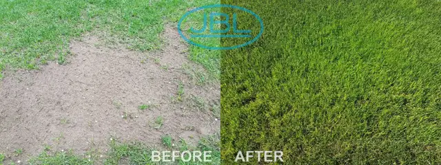 Lawn Service - Weed Control - Tree Trimming - 529-5554 in Lawn, Tree Maintenance & Eavestrough in Medicine Hat - Image 10