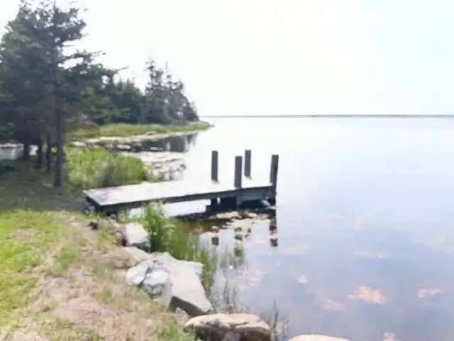 Two bedroom for rent outside the city in Room Rentals & Roommates in Dartmouth - Image 4