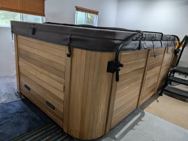 swim spa in Exercise Equipment in Prince George - Image 3