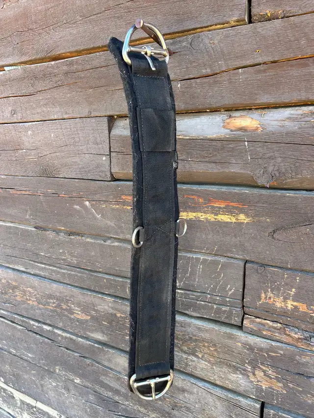 Tack Lot in Equestrian & Livestock Accessories in Dawson Creek - Image 6