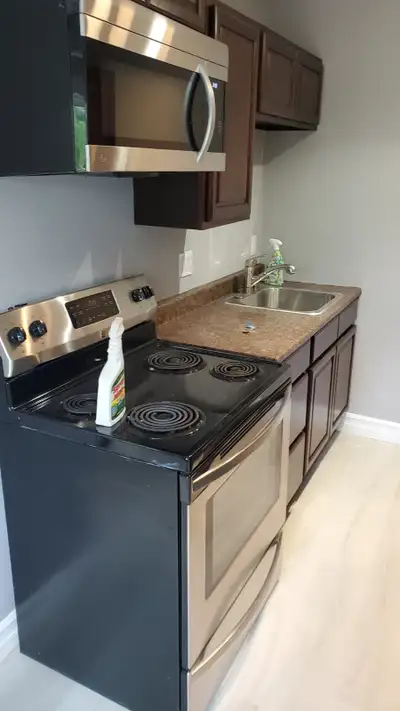 1 Bdr renovated apartment available immediately 41 Jackson Rd