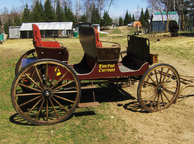 Horse Carriage in Equestrian & Livestock Accessories in Sault Ste. Marie