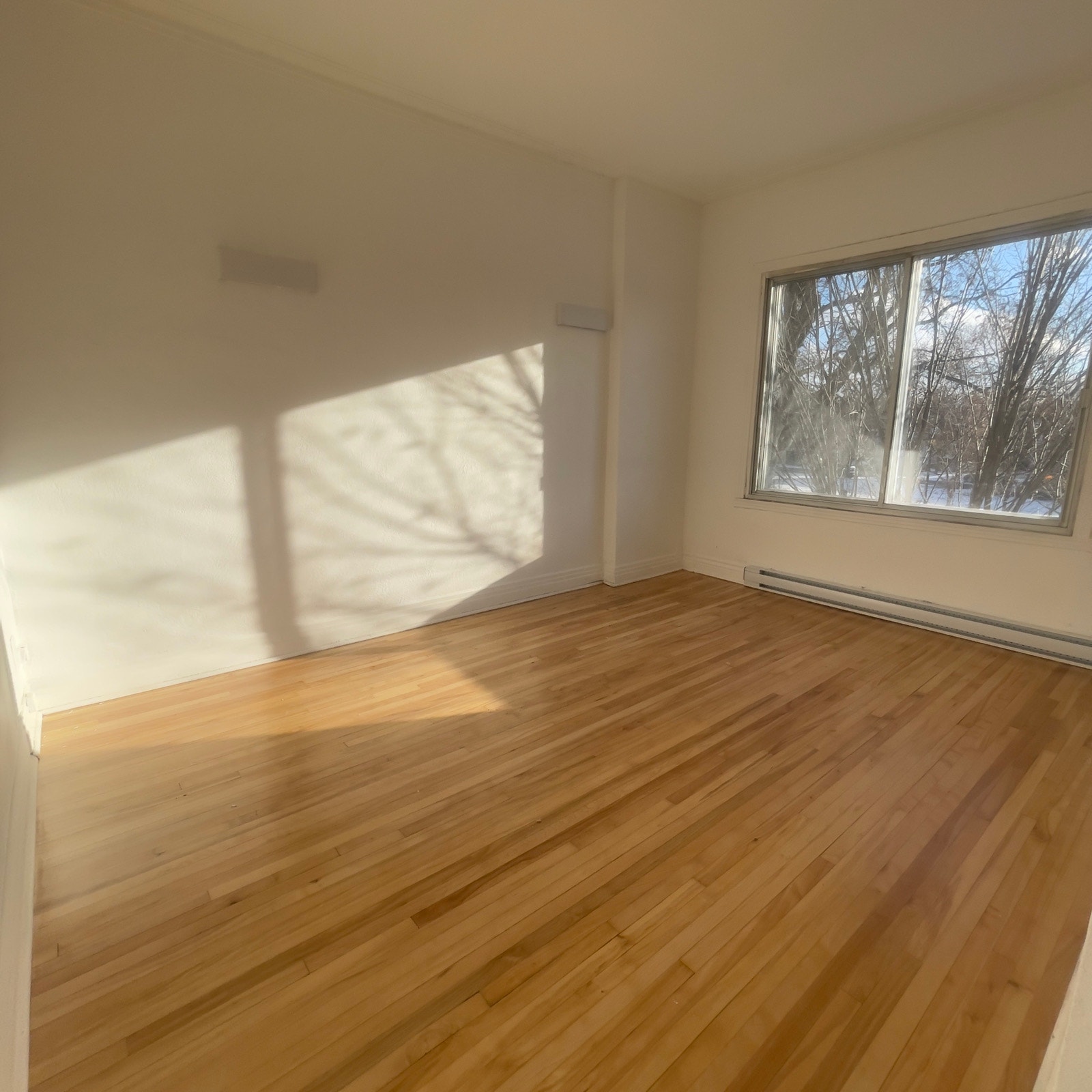 ✨ Transfert de bail | Magnifique 5½ rénové • 3 chambres • 2 balc — photo 2