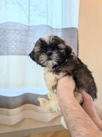 Can deliver to Winnipeg for a $40 fee. Can also deliver to Richer for customers coming from Ontario....