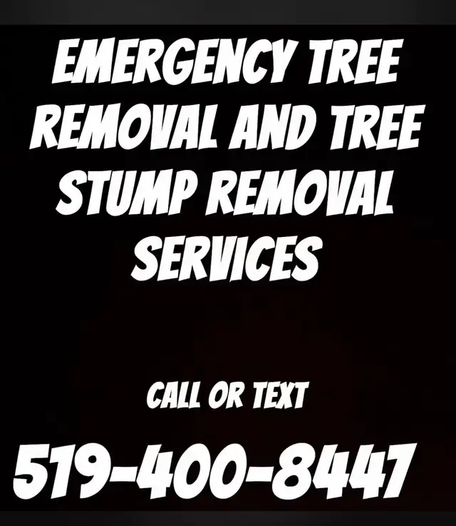 emergency services 505386985095188480