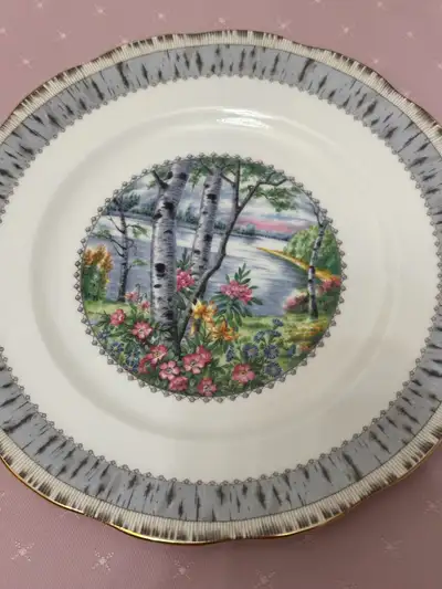 Vintage discontinued England Bone China Royal Albert Silver Birc, View more