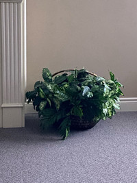Large fake plant in wicker basket