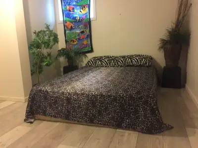 Room for Rent 900 Everything included WiFi Utilities Washer/Dryer Outdoor Swimming Pool Outdoor smok...