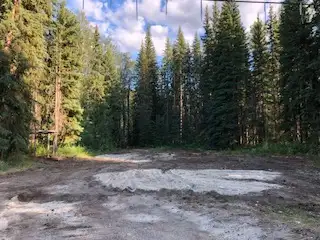 Beautiful treed lot in Rock Creek, with clearings for future development. Electricity on property. F...