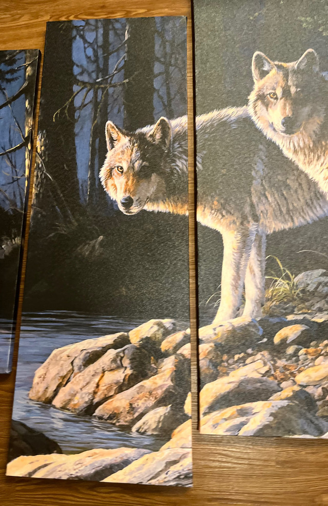 Canvas 4 Panel Wolf Picture  in Home Décor & Accents in Bridgewater - Image 3
