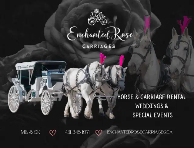 Horse and Carriage Services62863725032961121