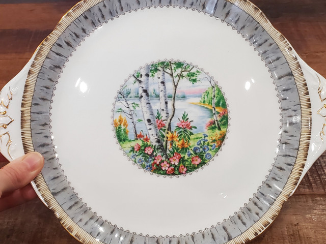 ROYAL ALBERT "Silver Birch" Bone China Plate - ENGLAND in Arts & Collectibles in Edmonton - Image 4