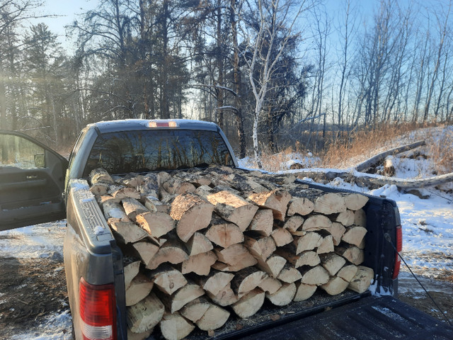 Firewood for sale in Fireplace & Firewood in Prince Albert - Image 2