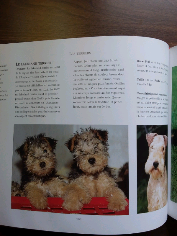 LIVRE L'ESSENTIEL DES CHIENS in Accessories in Lanaudière - Image 9