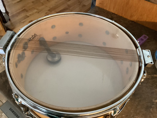 Price reduced Ludwig . 14x5 blue and olive 10 lug wood snare  in Drums & Percussion in Dartmouth - Image 2