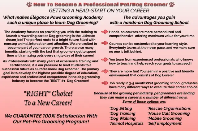 Dog Grooming Academy/School in Animal & Pet Services in Moncton - Image 3
