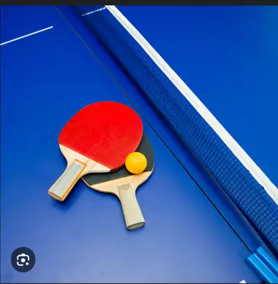 Table tennis instructor for beginner teen in SE Calgary