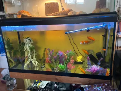 selling my aquarium because i am going away to school and trying to save up some money. if selling t...