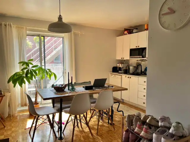 4 1/2 Apartment in Hochelaga-Maisonneuve Available November 1