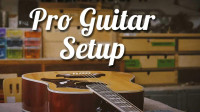 Guitar Setup, Maintenance and Repair