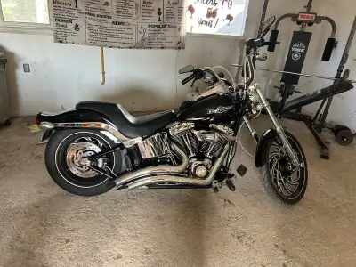 Harley Davidson Softail Custom. 17,000 kms. Lowered, custom rims, braided lines, screaming eagle cam...