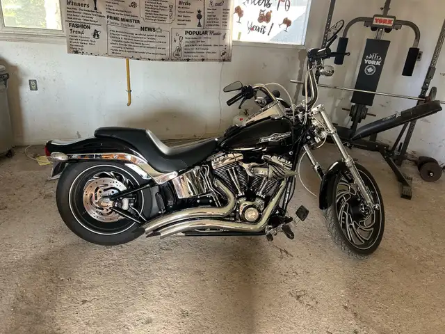 Harley Davidson Softail in Street, Cruisers & Choppers in Oakville / Halton Region - Image 2
