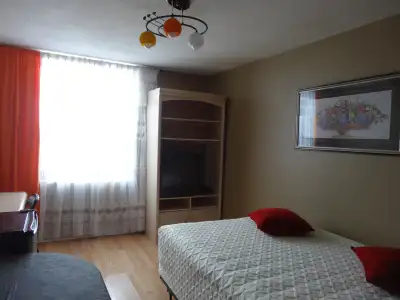 Large (230 sq.ft) fully furnished room with a private balcony in a condo for rent for a working very...