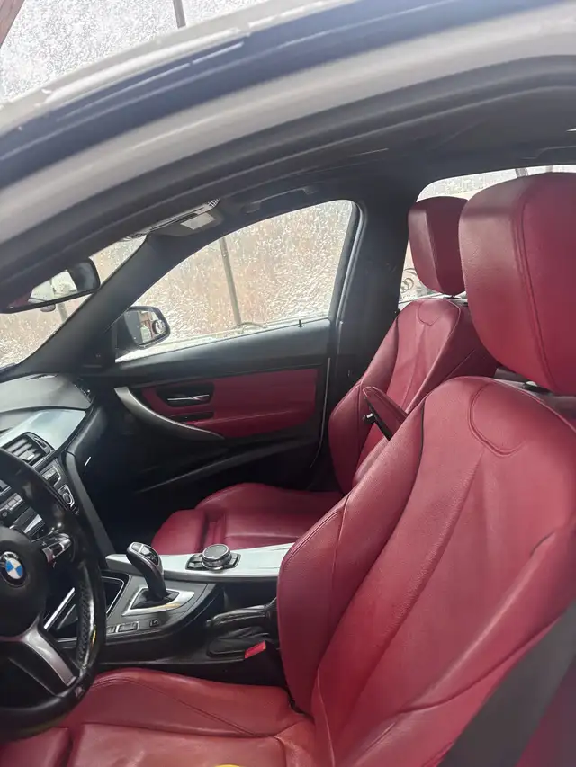 Mobile Car Detailing538899681369149445
