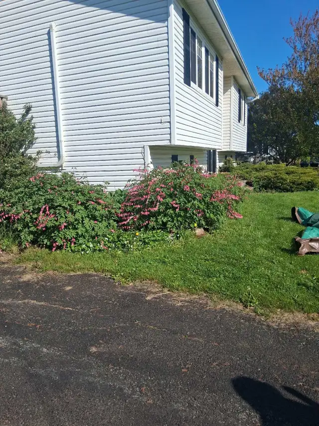 landscaping services494049036191682561